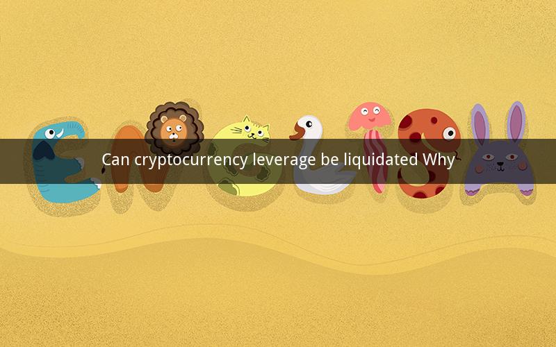 Can cryptocurrency leverage be liquidated Why