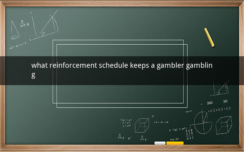 what reinforcement schedule keeps a gambler gambling