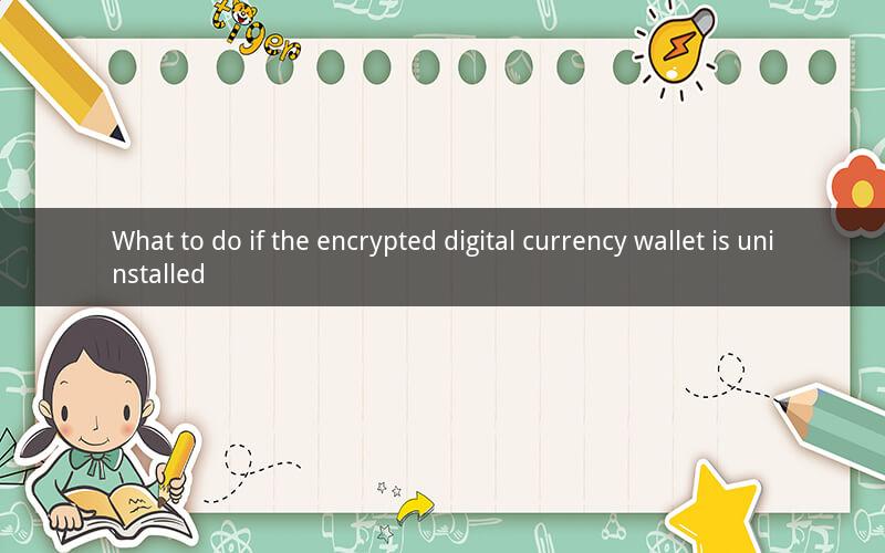 What to do if the encrypted digital currency wallet is uninstalled