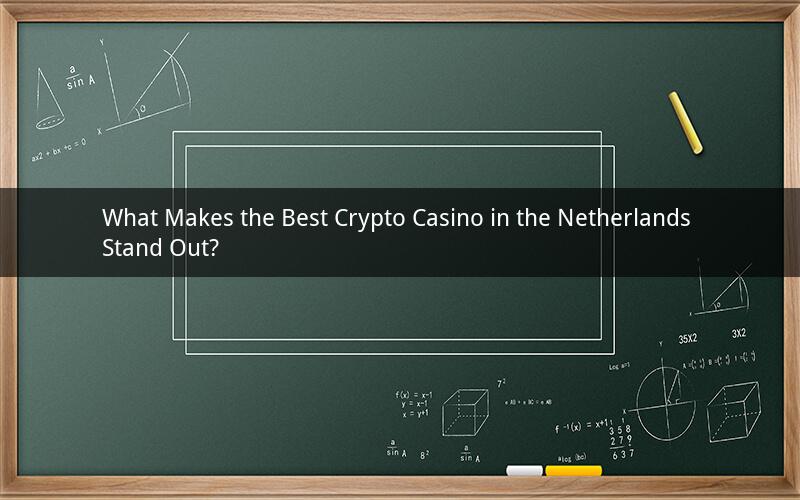What Makes the Best Crypto Casino in the Netherlands Stand Out?